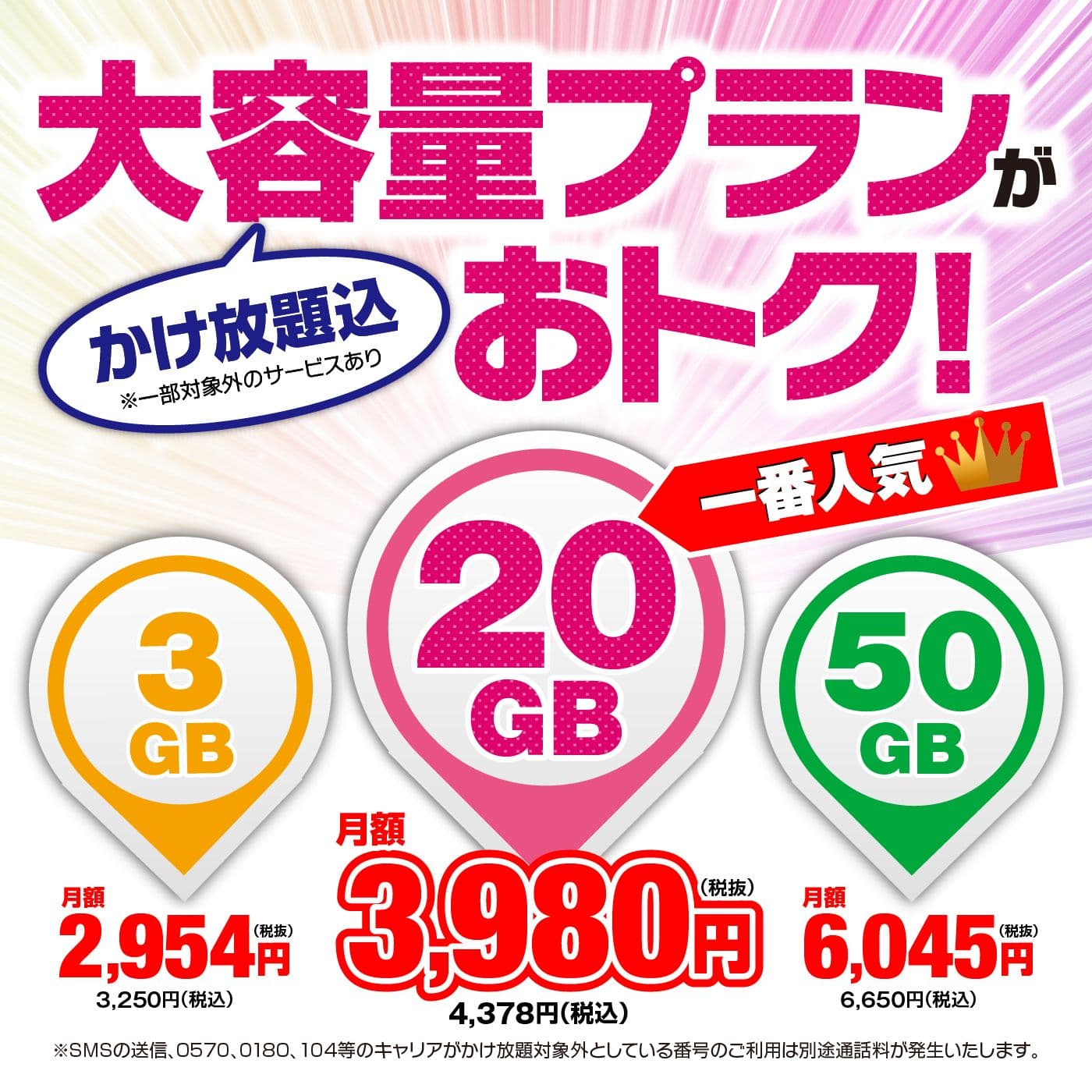 大容量プランがおトク